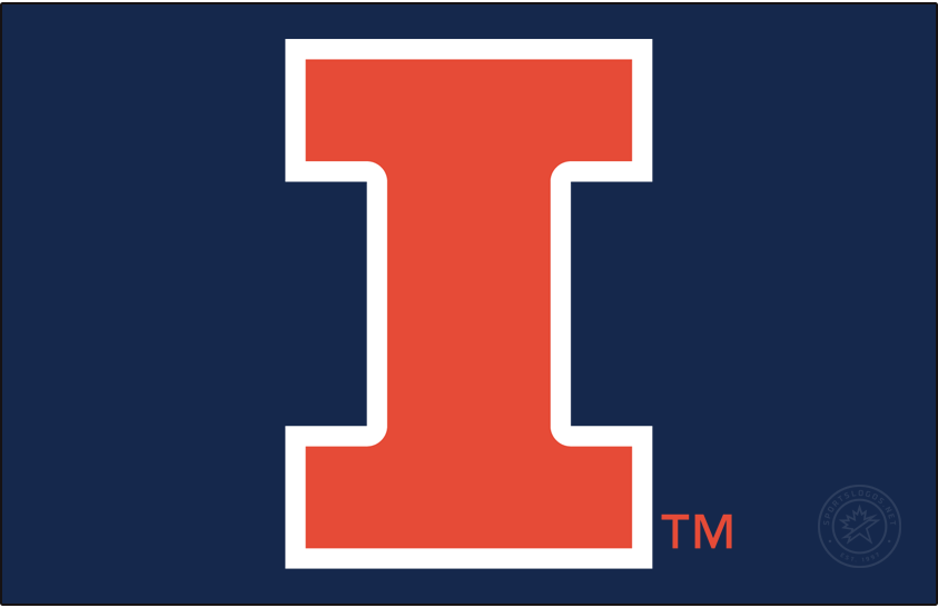 Illinois Fighting Illini 2014-Pres Primary Dark Logo diy DTF decal sticker